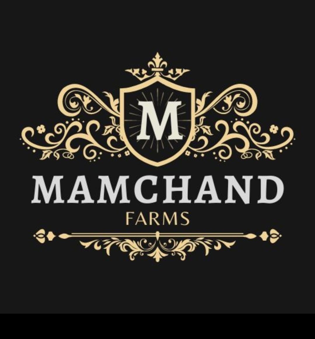 MamChnad Framehouse Logo